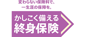 かしこく備える終身保険