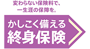 かしこく備える終身保険